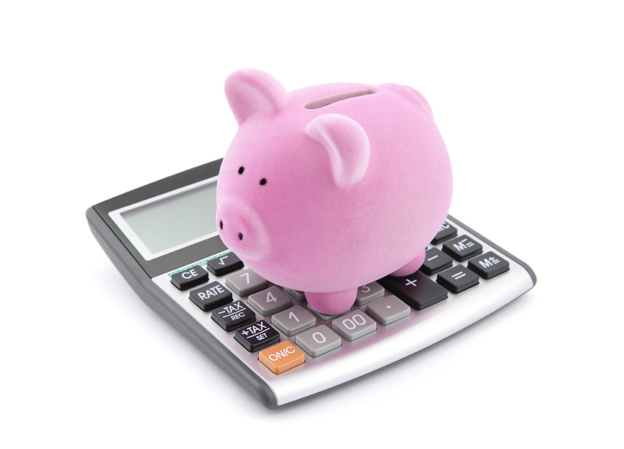 Pink Piggy Bank